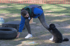IMG_0913_1920
