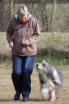 IMG_0957_900