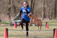 IMG_1233_900