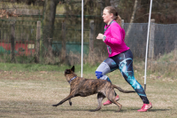 IMG_1238_900