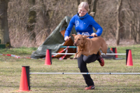 IMG_1277_900