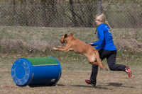 IMG_1540_900