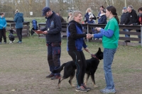 IMG_5361_900