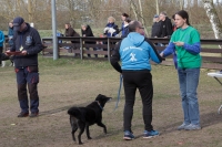 IMG_5363_900