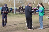 IMG_5365_900