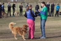 IMG_5376_900