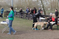 IMG_5381_900
