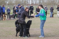 IMG_5386_900