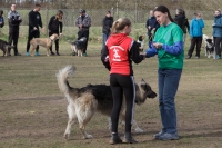IMG_5390_900