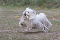 IMG_8790_1280