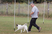 IMG_4356_1280