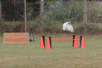 IMG_4378_1280