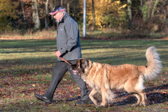 2023 Vereinsprüfung GHS Nov