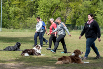 IMG_6635_1500