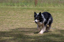 IMG_6663_1500