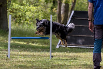 IMG_6676_1500