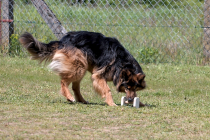 IMG_6720_1500