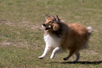 IMG_6796_1500