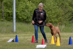 2024 FUNCUP Rally Obedience