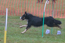 IMG_2405_1800