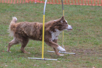 IMG_2436_1800