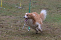 IMG_2555_1800