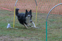 IMG_2617_1800