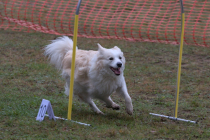 IMG_2632_1800
