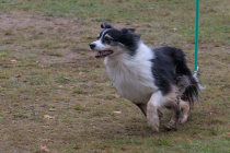 IMG_2693_1800