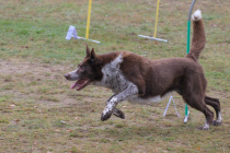 IMG_2711_1800