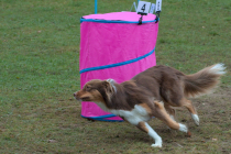 IMG_2802_1800