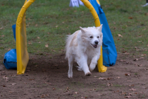 IMG_2806_1800