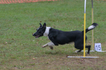 IMG_2817_1800