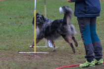 IMG_2855_1800