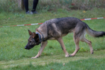 IMG_1301_1800
