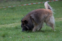 IMG_1335_1800