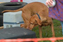 IMG_1353_1800