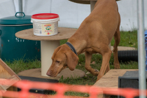 IMG_1354_1800