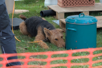 IMG_1526_1800