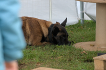 IMG_1705_1800