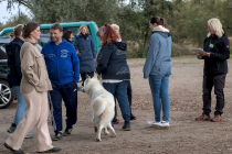 IMG_2056_1800
