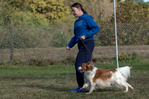 IMG_2192_1800