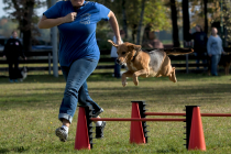 IMG_2276_1800
