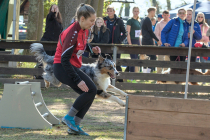 IMG_3370_1800
