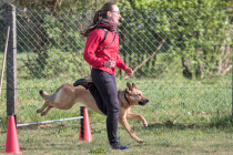 IMG_3382_1800