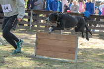 IMG_3396_1800