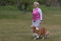 IMG_3567_1800