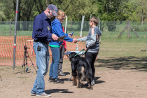 IMG_3626_1800