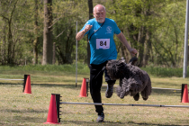 IMG_3666_1800