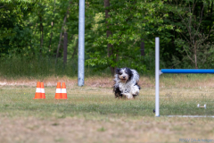 IMG_0221_1800